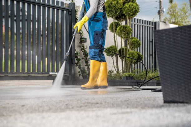 Best Driveway Pressure Washing  in Ada, MN