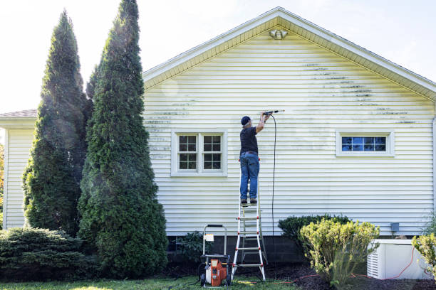 Best Building Exterior Washing  in Ada, MN